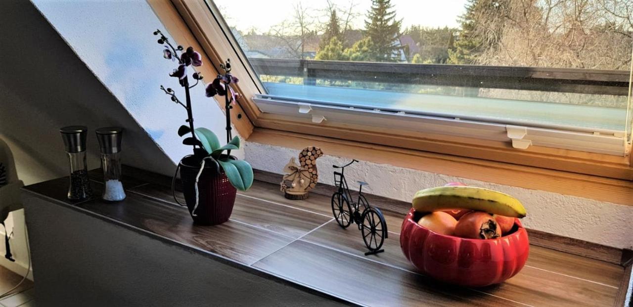 Ferienwohnung Am Park Leipzig Dış mekan fotoğraf